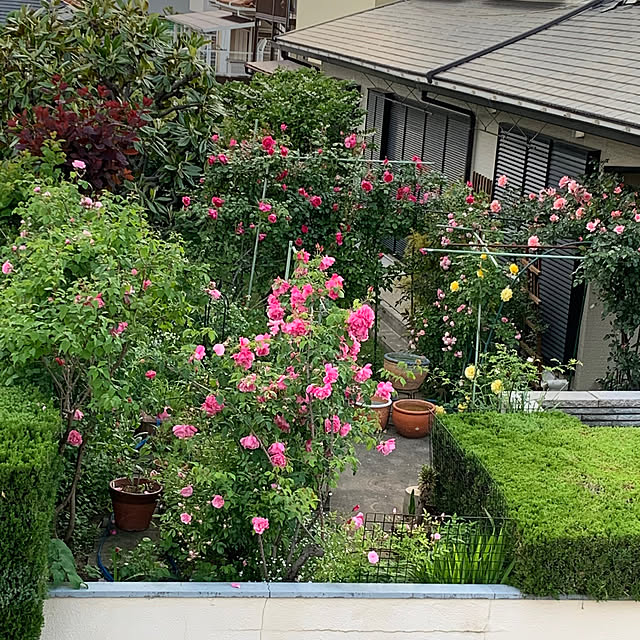moyuhiさんの部屋