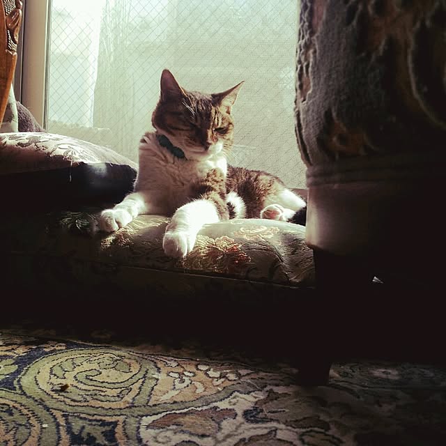 emmyyさんの実例写真