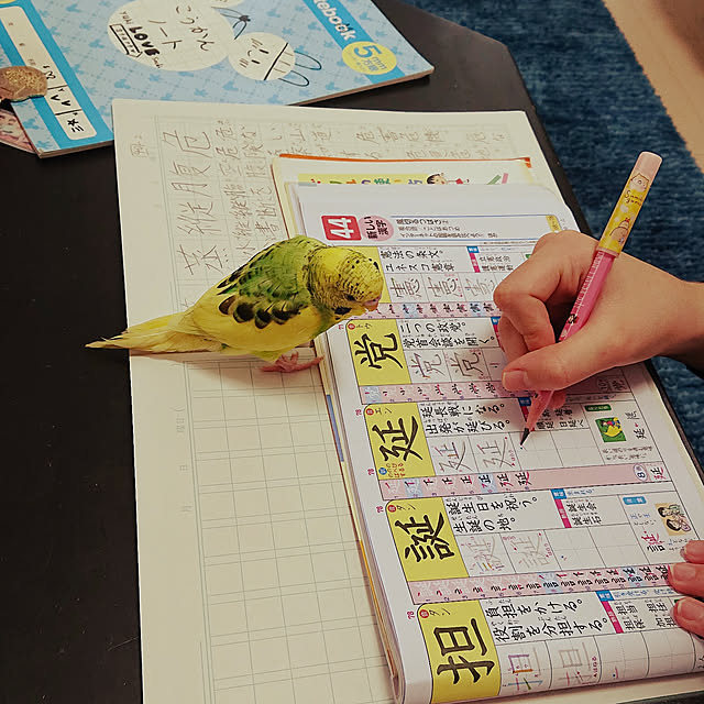 kyonさんの実例写真