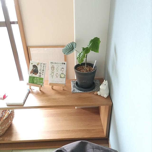 sakiさんの実例写真