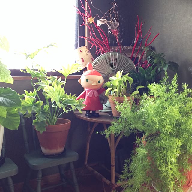 akaneさんの実例写真