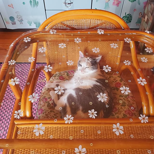 kumutanさんの実例写真