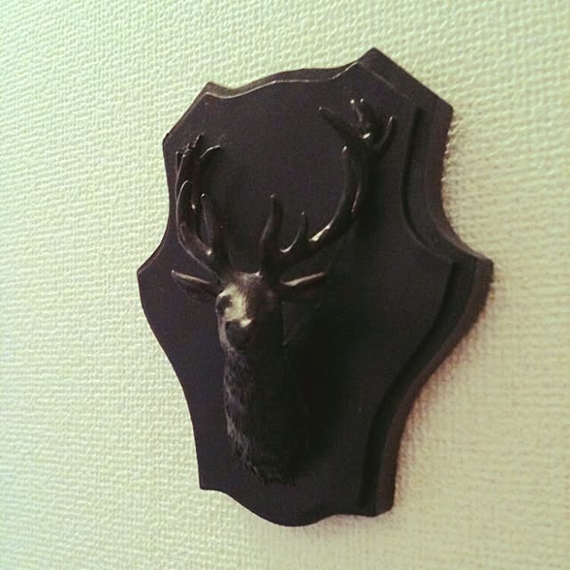 R-TYPEさんの実例写真