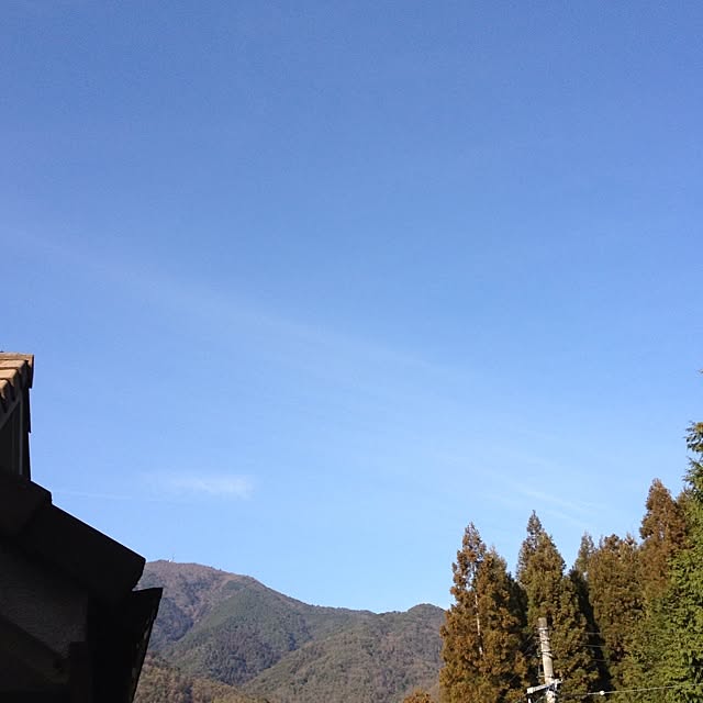 L.さんの実例写真
