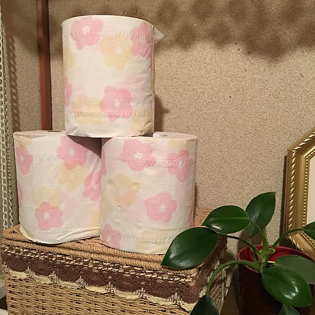 akekuroankoさんの実例写真