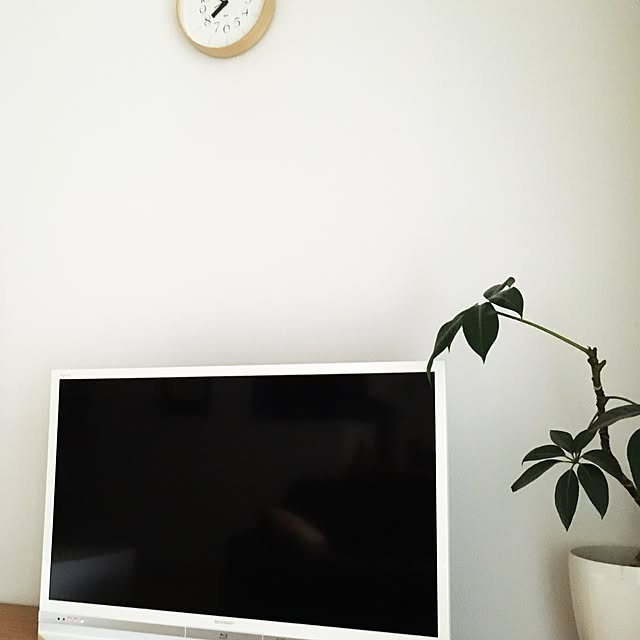 mimozaさんの実例写真