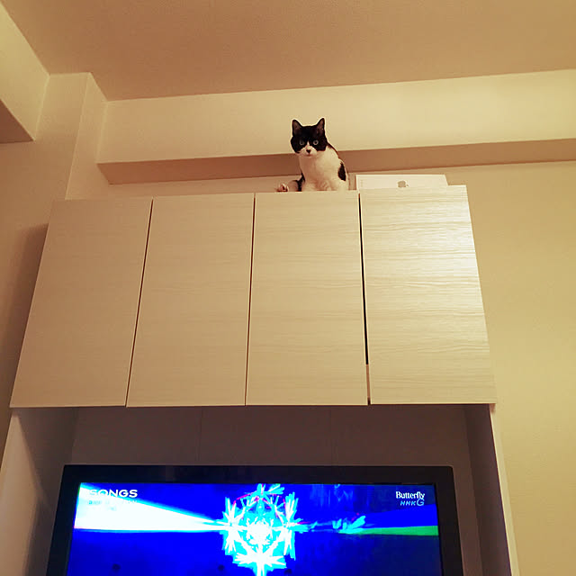 mikoさんの実例写真