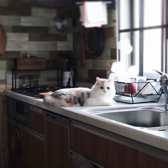 hiromi0302さんの実例写真