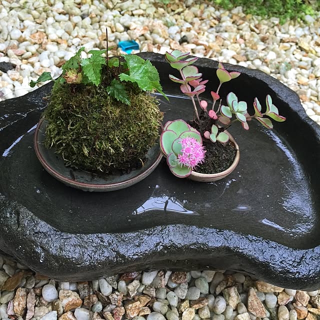 sakulaさんの実例写真