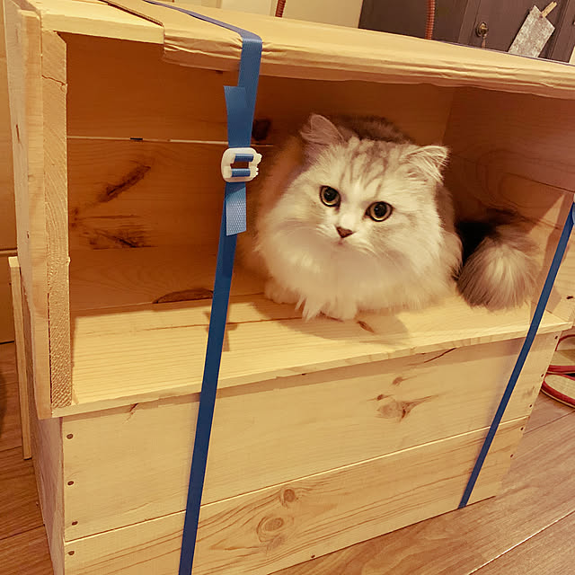 ai.333さんの部屋