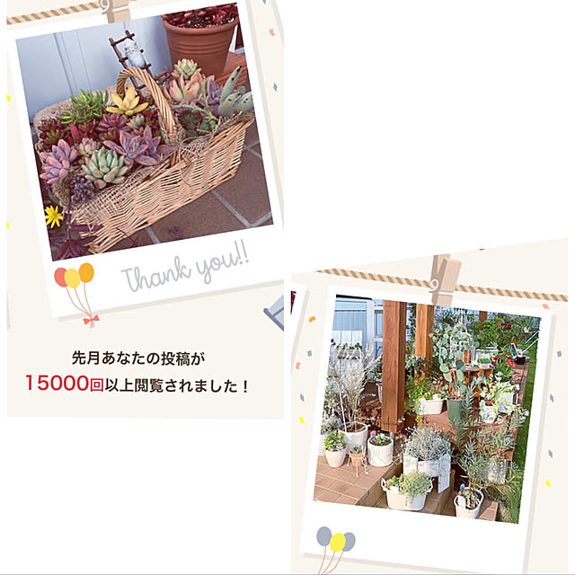 maymamさんの実例写真