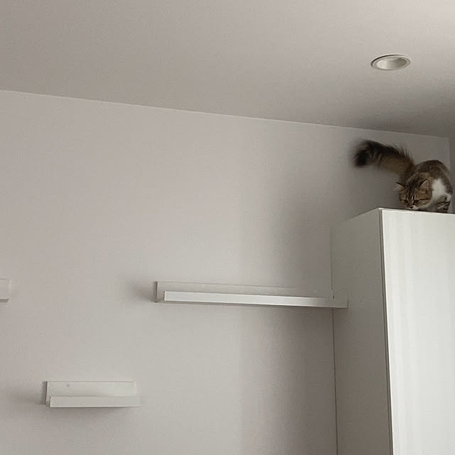 IKEA/リビングのインテリア実例 - 2021-08-04 09:39:22