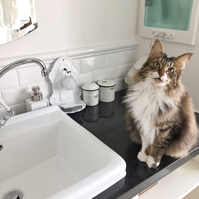 yuchiさんの実例写真