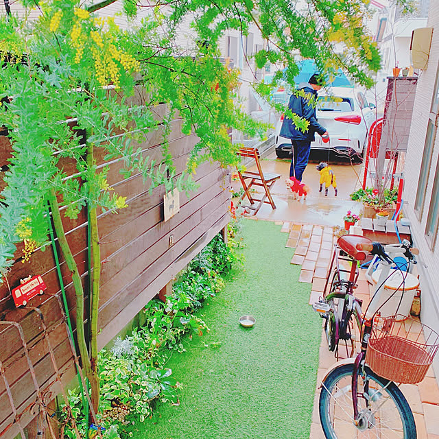 risaさんの実例写真