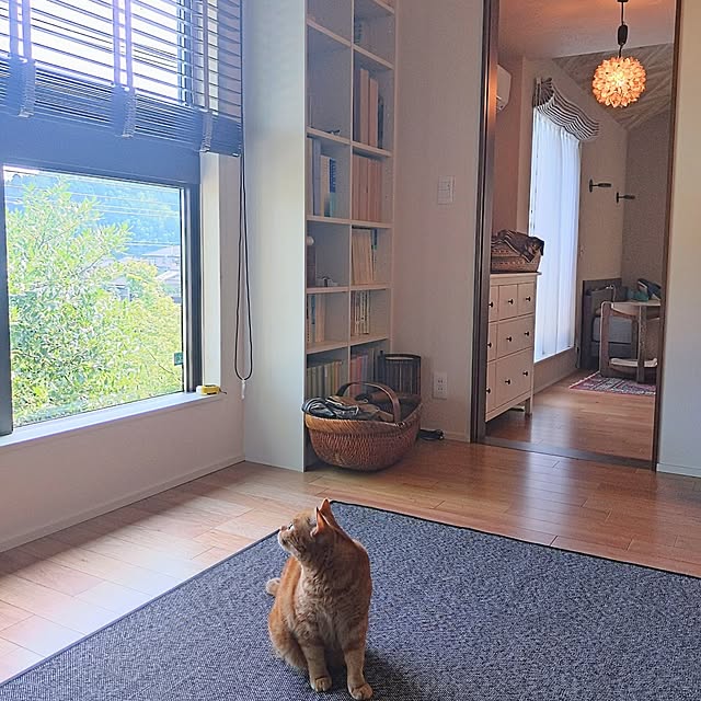 hagyu7kuroさんの部屋