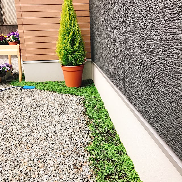 mt.mamaさんの実例写真