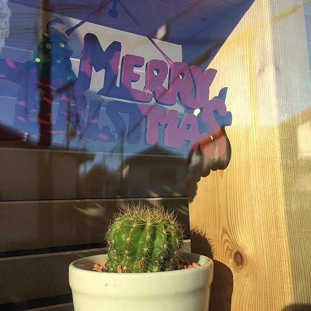 yukkoさんの実例写真