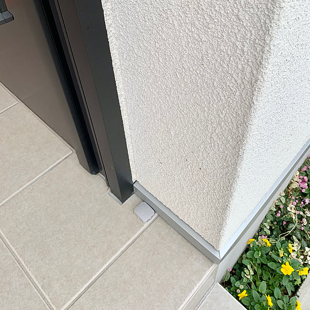 Minteaさんの部屋