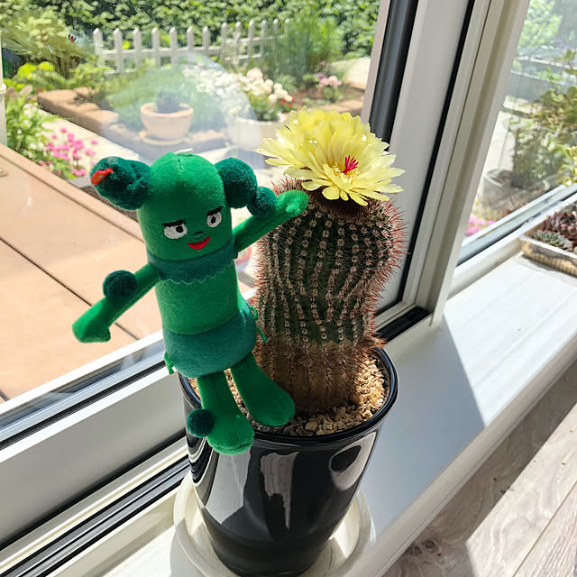 unichanさんの実例写真