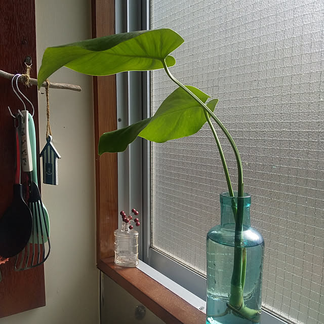 microさんの実例写真