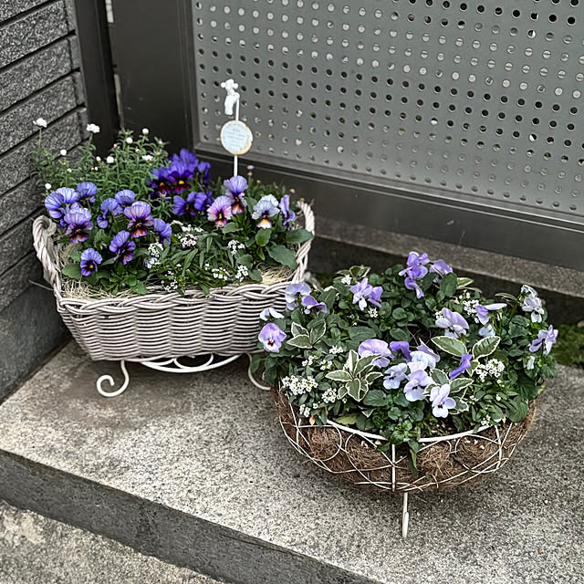 maayaさんの部屋