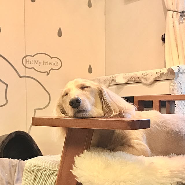 Yutsukiさんの実例写真