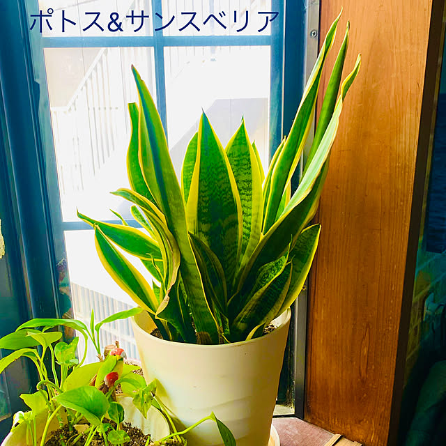 tututu0204さんの部屋