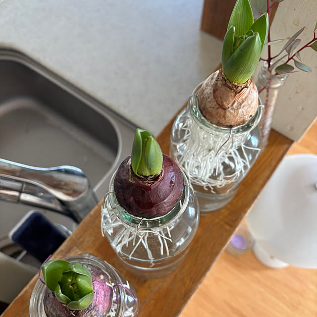 yokoさんの実例写真