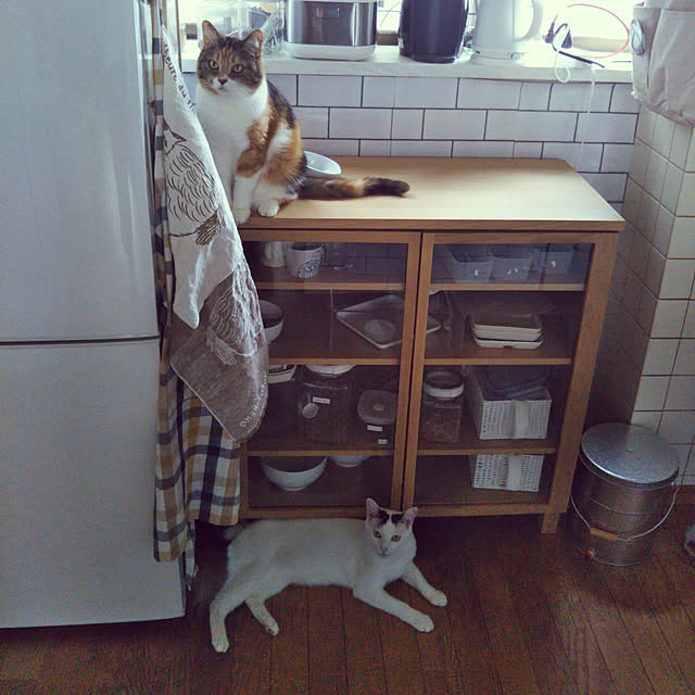 yukieさんの実例写真