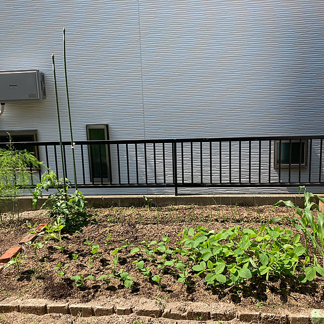 積水ハウス鉄骨造/何時もありがとうございます/戸建て/見て頂き感謝です♪/好きな時間...などのインテリア実例 - 2022-05-24 10:01:39