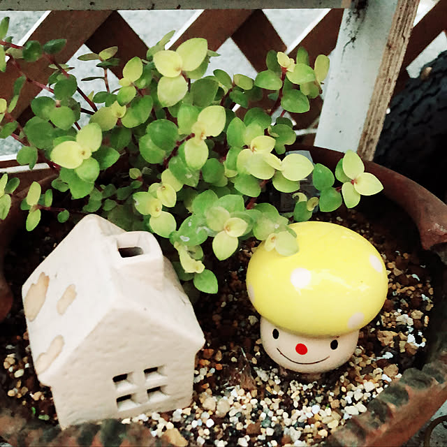 seiさんの実例写真