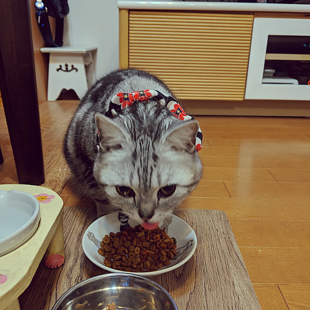 aikunmisatanさんの実例写真
