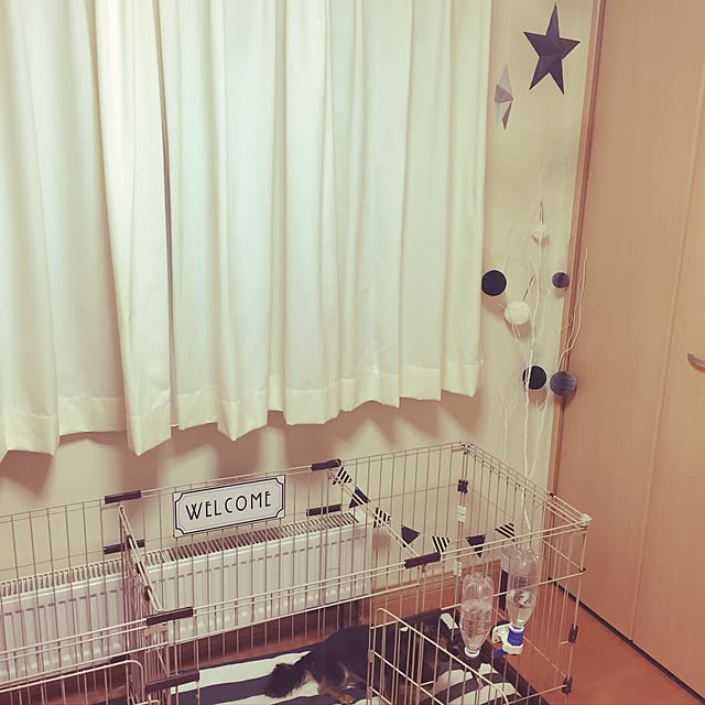 maimaiさんの実例写真