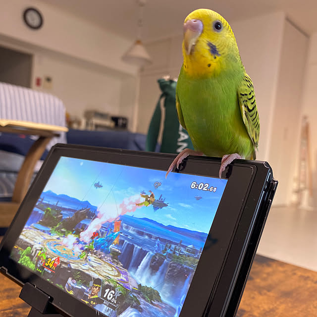 ohanaさんの実例写真