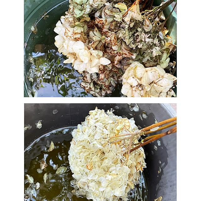 nobikoさんの部屋
