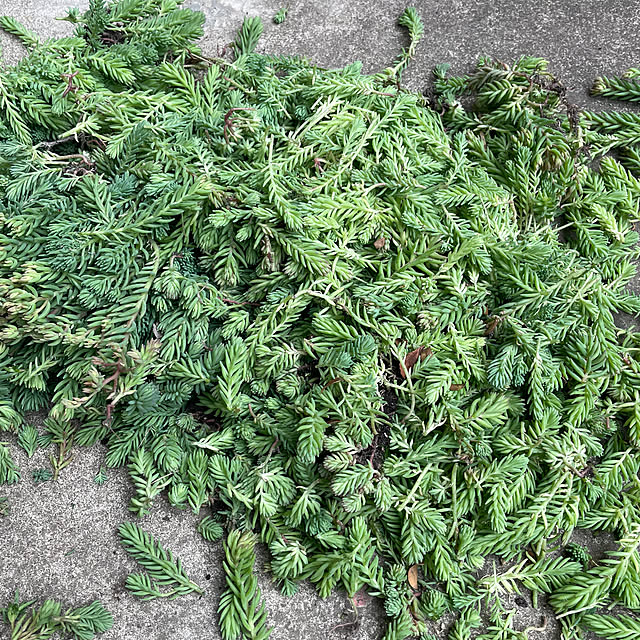 Rt_styleさんの部屋