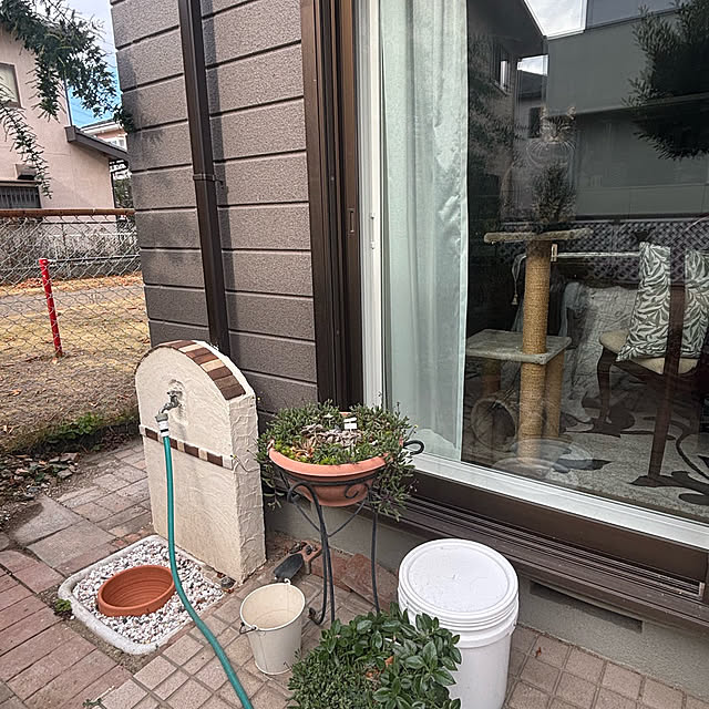 momocchiさんの部屋