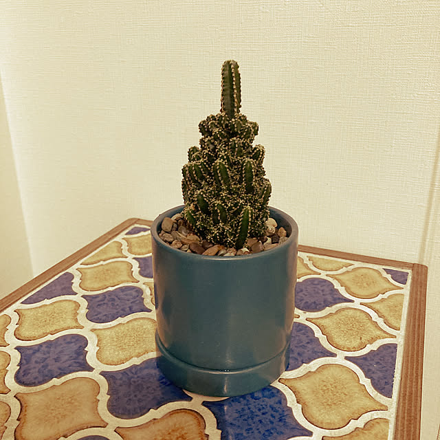 AKCDさんの実例写真