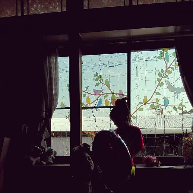 kikuさんの実例写真