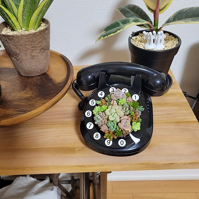 akiak.3さんの実例写真