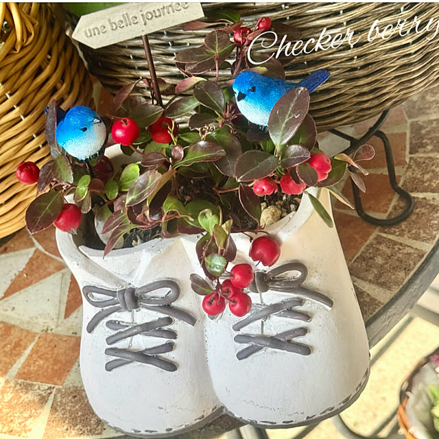 cocoさんの実例写真