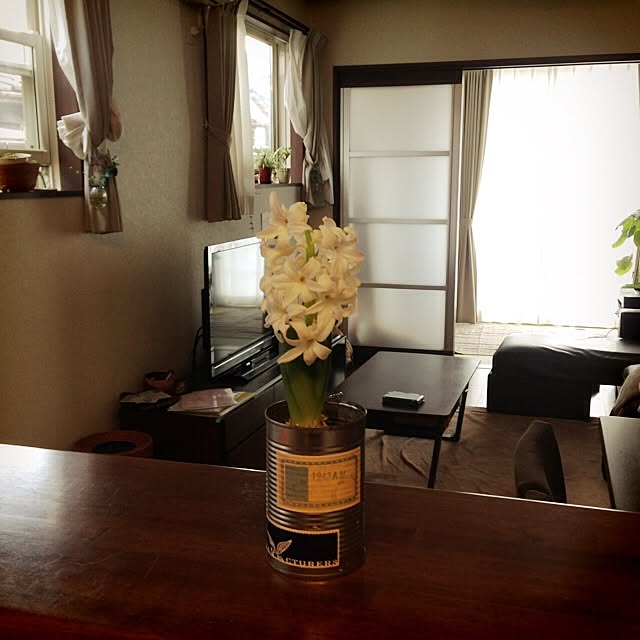 Hanaさんの実例写真