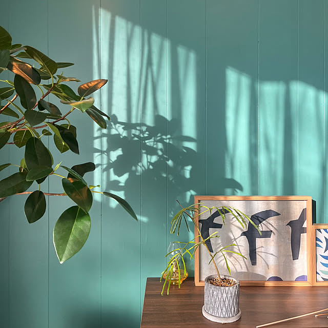 soraさんの実例写真