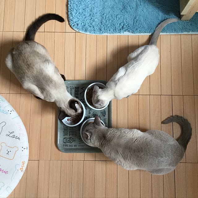 monkeymajimajikさんの実例写真