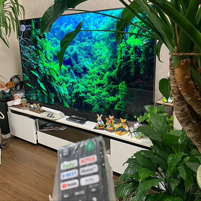 Aqettyさんの実例写真