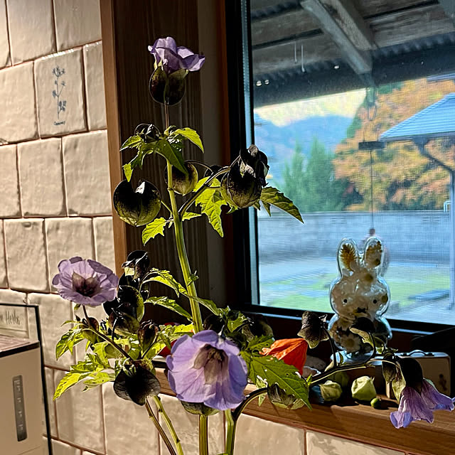 cotaさんの実例写真