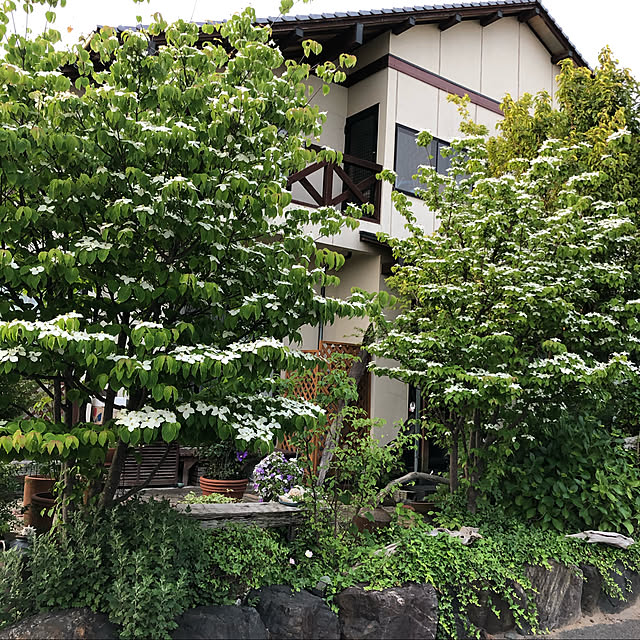 hideさんの実例写真