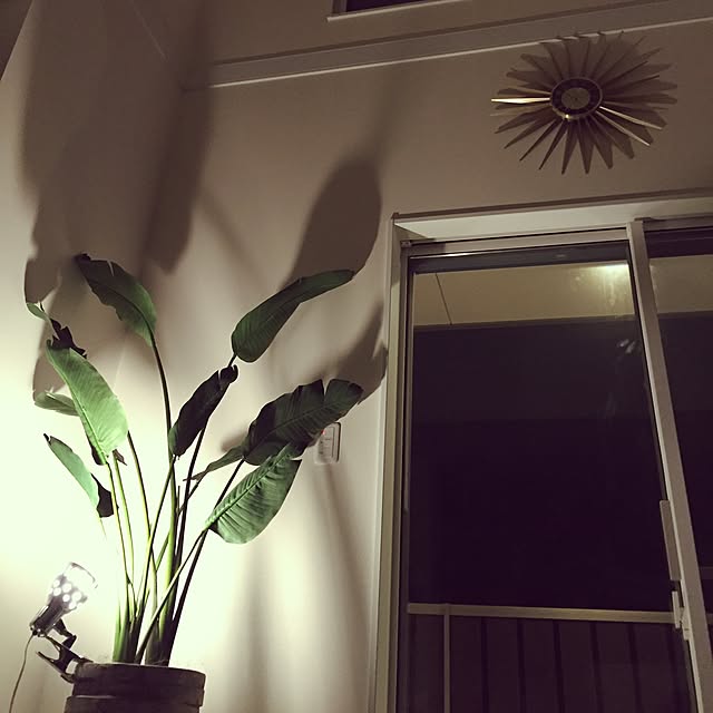 リビング/DIY/雑貨/観葉植物/照明のインテリア実例 - 2016-03-11 22:38:53