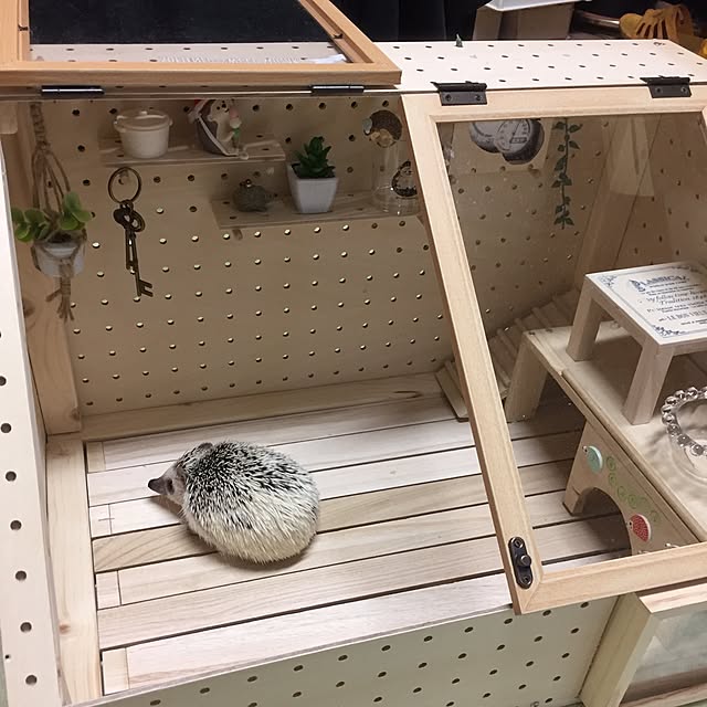 mi_naさんの実例写真
