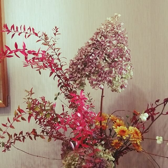 hiromiさんの実例写真